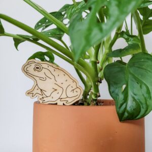 Toad Frog Decorative Plant Stake (Wood, 2 Sizes)
