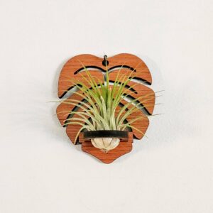 Air Plant Holder, Wall Hanging, Wood Monstera Leaf