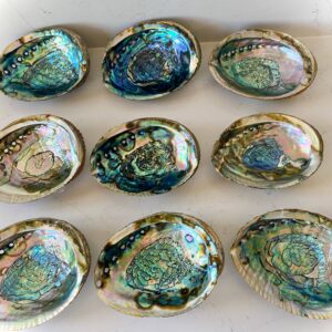 Abalone Shell Smudge Bowls (Medium Shallow)