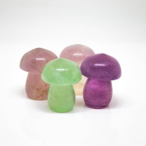 Fluorite Mushrooms Multi Color 1 Inch