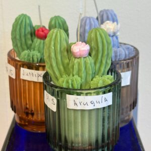 Cactus candle in colored glass jar