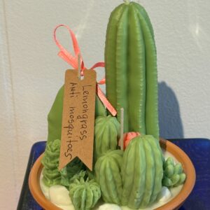 Cactus candle Anti mosquitos Lemongrass