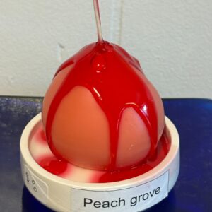 Peach candle peach grove scented