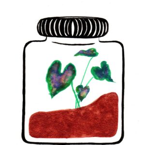Plants in a jar watercolor art