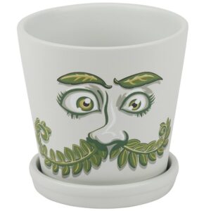 Sir Fern Planter