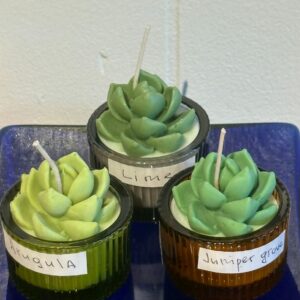Small Echeveria candle in glass jar