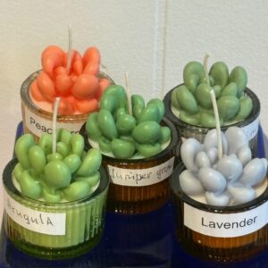 Small Pachy succulent candle in glass jar