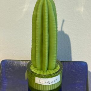 Tall Barrel cactus candle in glass jar