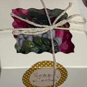 Echeveria Cactus Handmade Soap in gift box