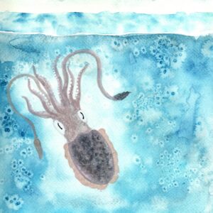 squid watercolor art