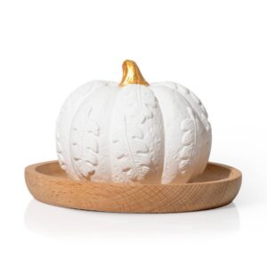 Pumpkin Passive Essential Oil Diffuser