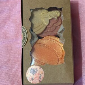 Thanksgiving Fall Soap Set