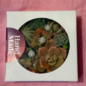 Succulent Soap Sets